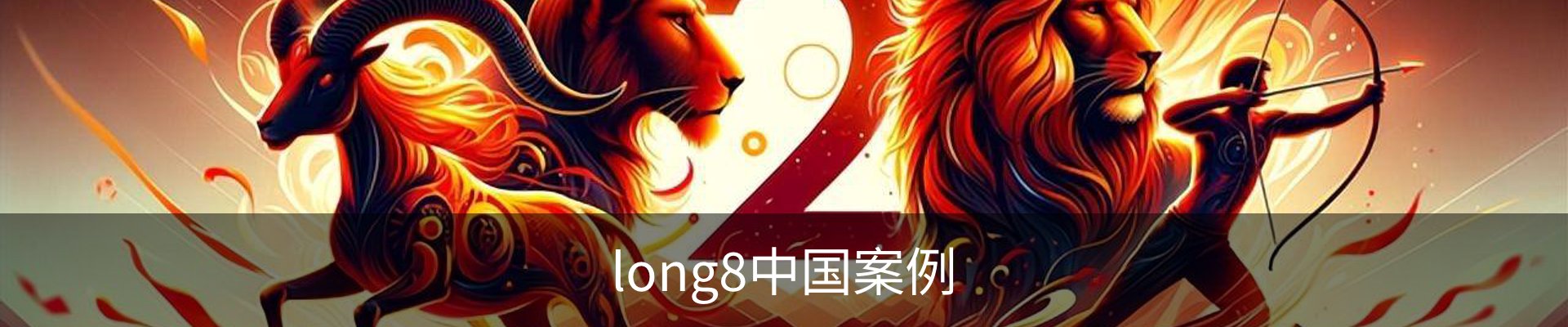 long8中国案例